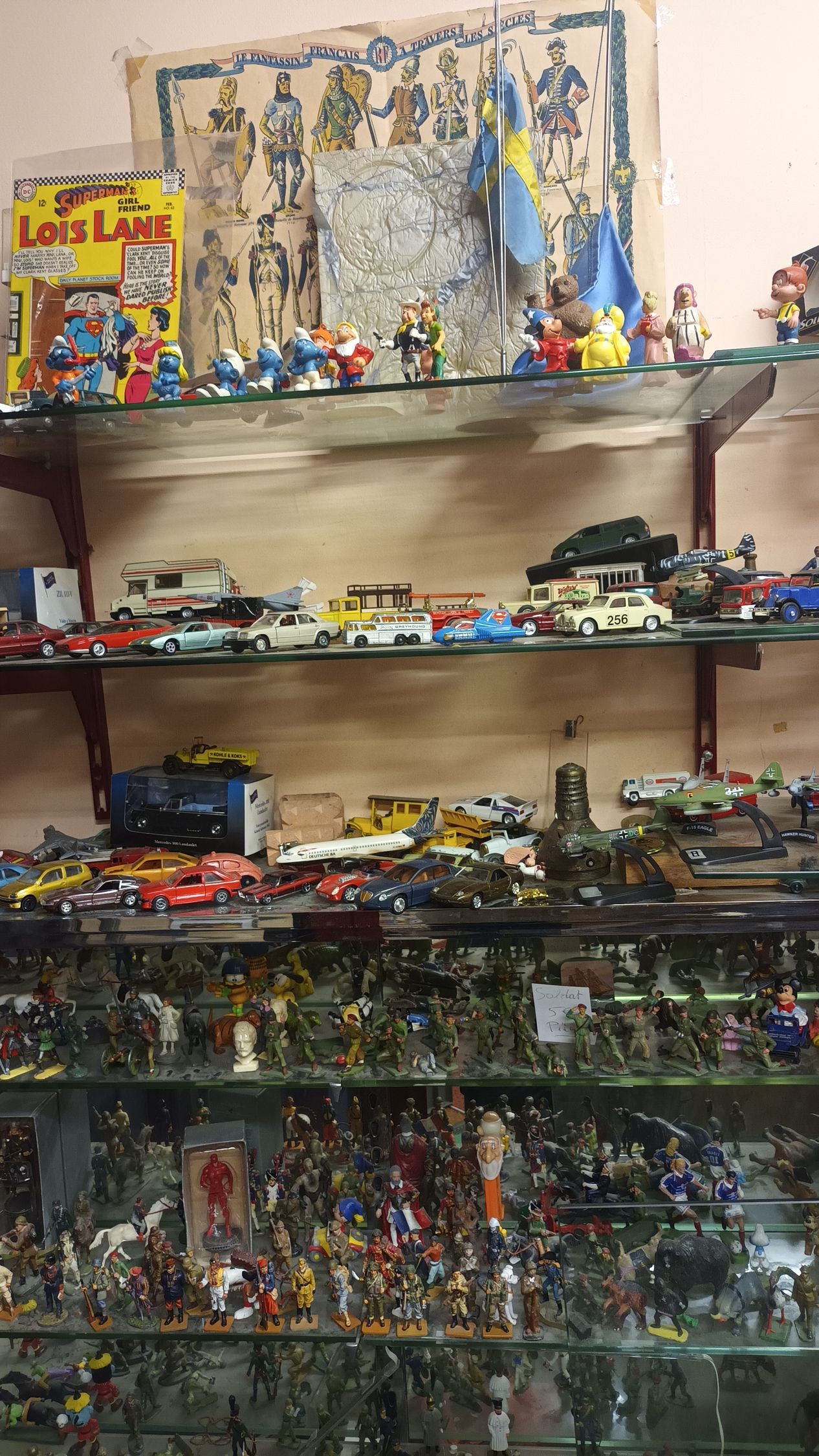 Une collection de nombreuses petites figurines et de voitures miniatures moulées sous pression, exposées sur plusieurs étagères en verre.