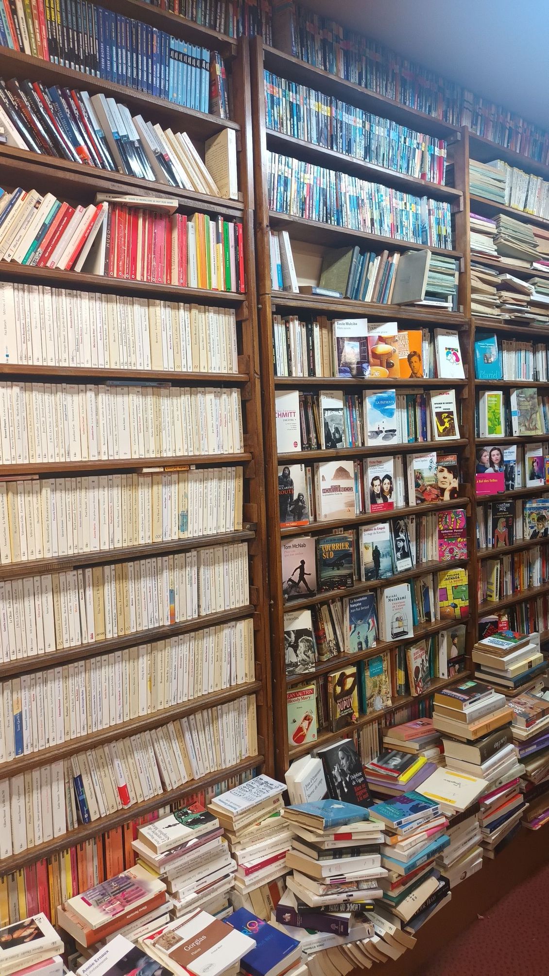 Des étagères en bois recouvrent les murs et regorgent de livres, avec plusieurs piles de livres posées à même le sol en dessous.