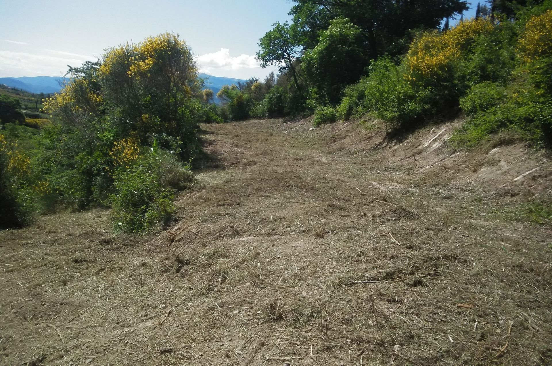 Débroussaillage d'une zone