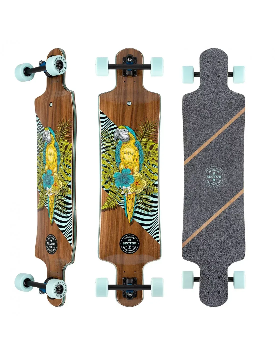 Longboard avec motif perroquet sur plateau en bois, roues turquoise, sur fond blanc.