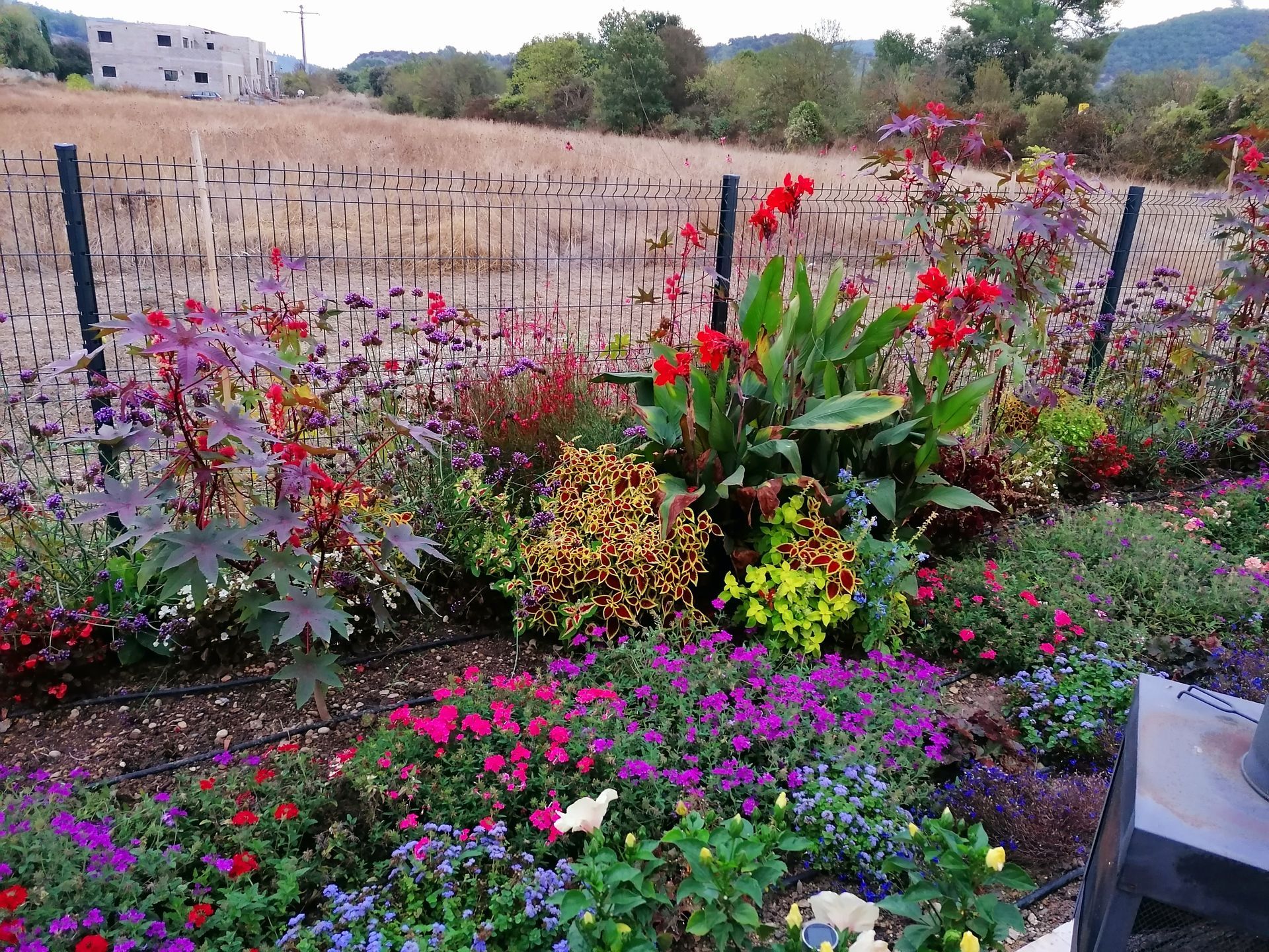 Création de massifs et plantation de fleurs