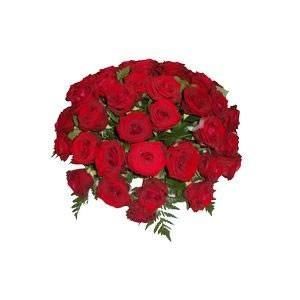 Coussin de roses rouge