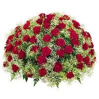 Coussin de fleurs et de roses rouges et blanches