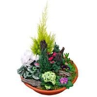 Pot de fleurs coloré