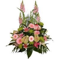 Devant de cercueil vert et rose