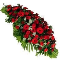 Dessus de cercueil rouge blanc et vert