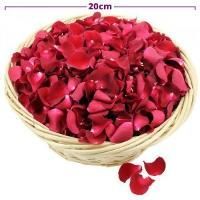 Pétales de fleurs roses 60cm