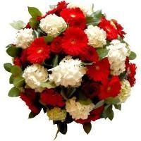 Coussin de fleurs rouge et blanc
