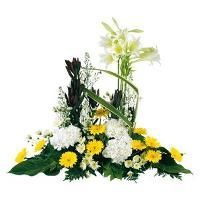 Devant de cercueil jaune, blanc et vert