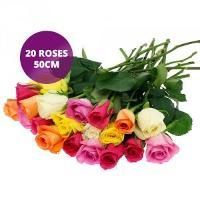Bouquet de 20 roses multicolore 50cm