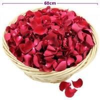 Pétales de fleurs roses 20cm