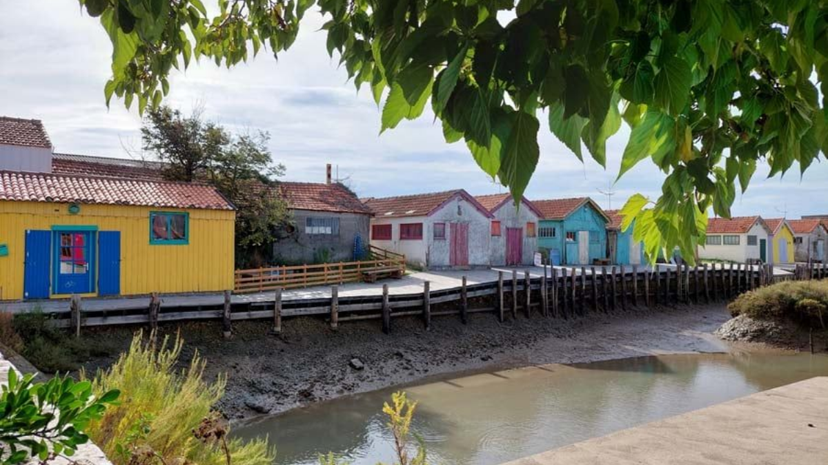 Des cabanes de pêcheurs colorées bordent un ruisseau boueux sous un auvent feuillu.