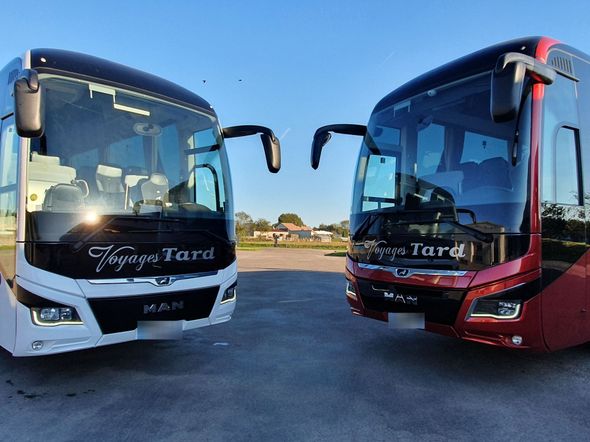 Deux autocars, un blanc et un rouge, garés côte à côte sur l'asphalte.