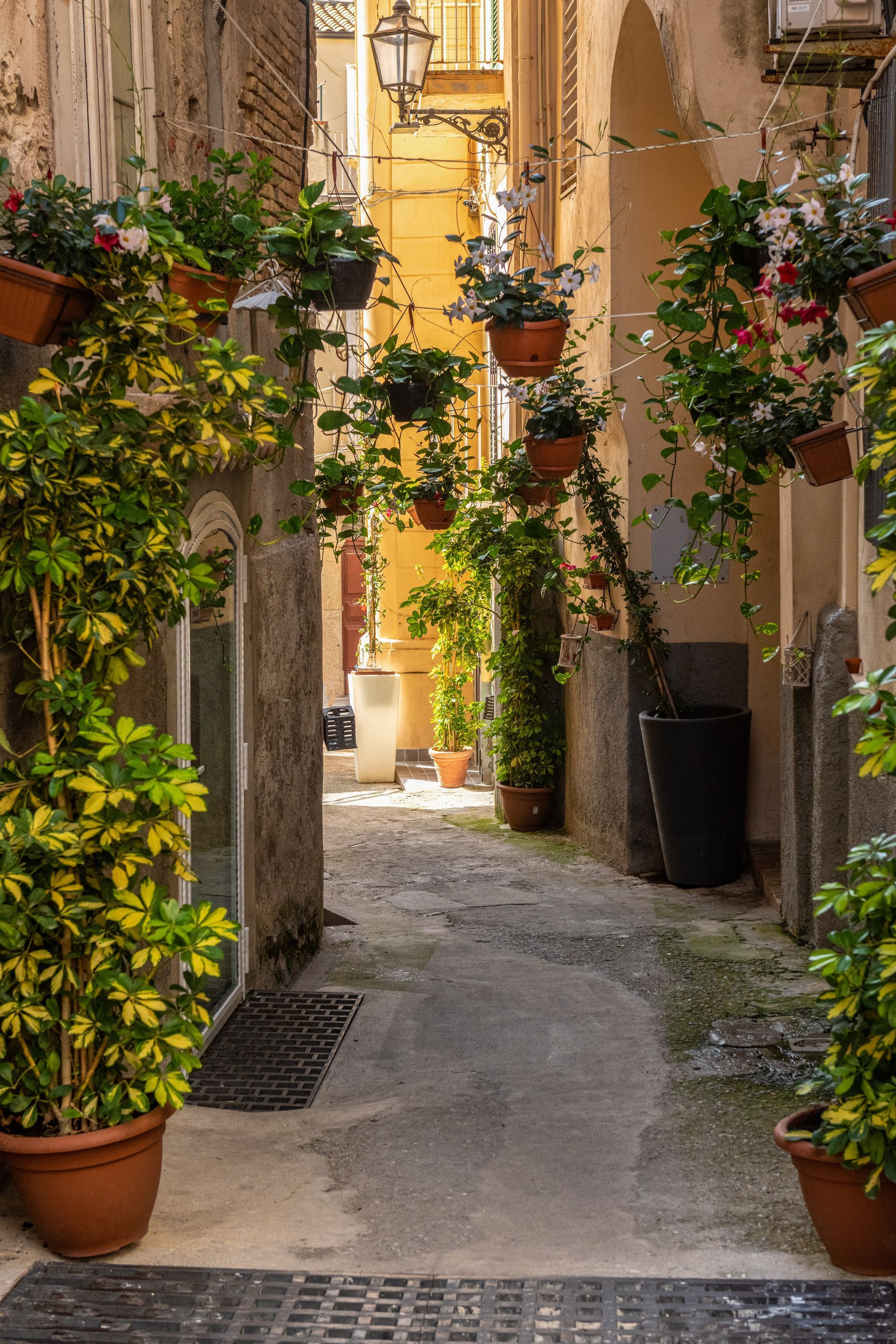Ruelle étroite en Italie, bordée de plantes en pot, de pots de fleurs suspendus et baignée de soleil au fond.