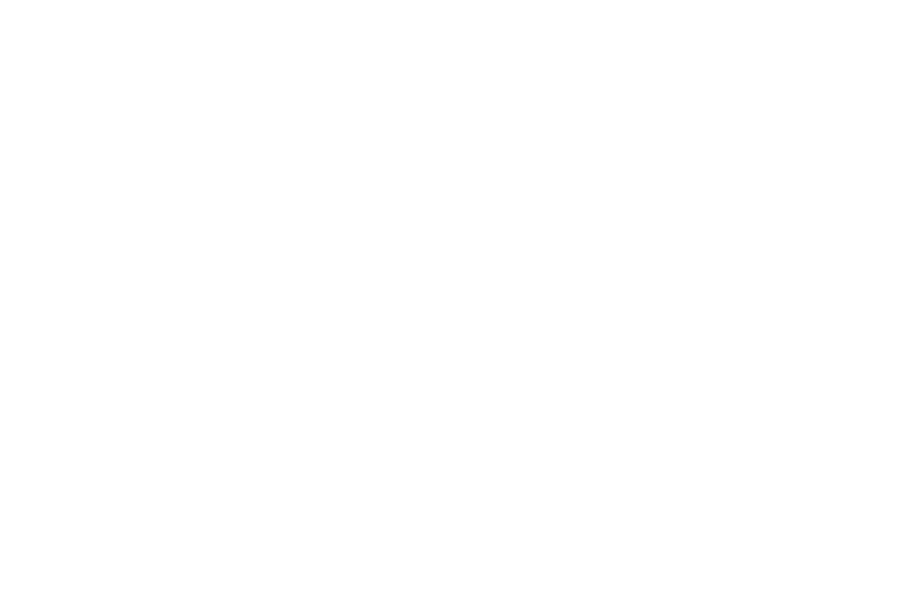 Jaume Montfort Romagosa