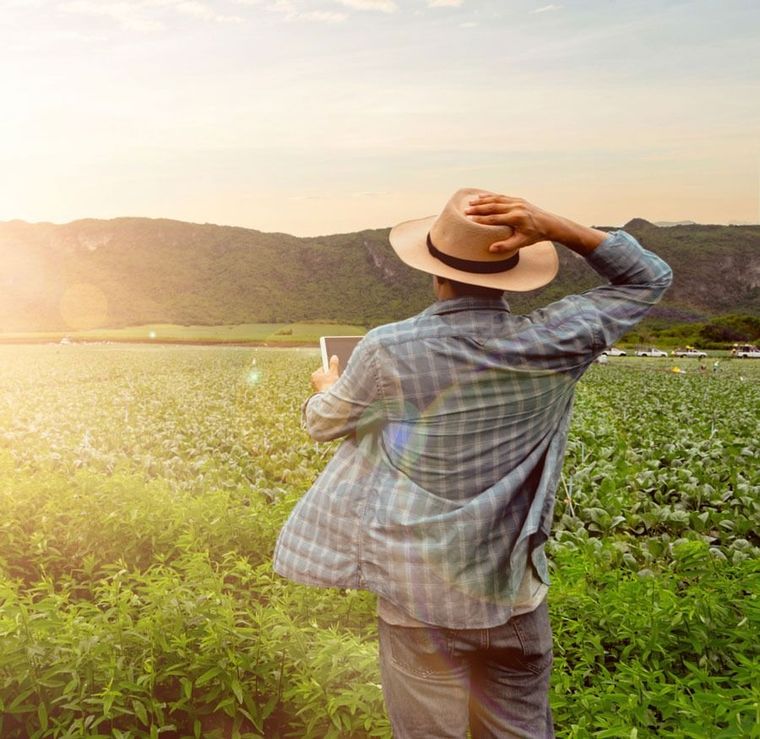 Un hombre con sombrero está parado en un campo sosteniendo una tableta.