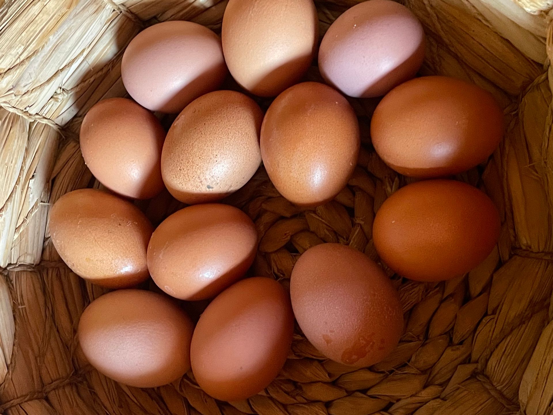 Immagine prodotti - Azienda Stalla Dolcemara