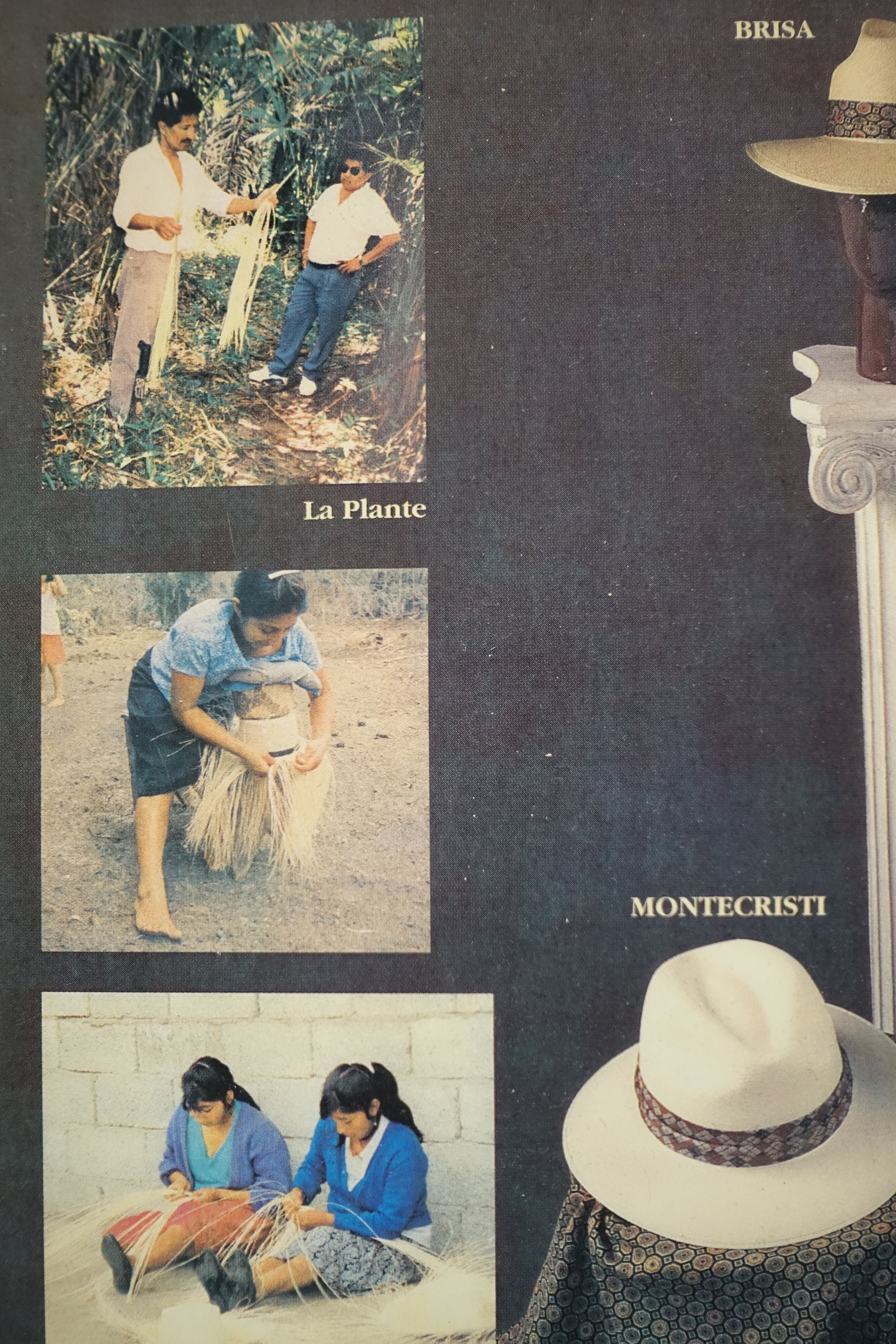 Collage de trois photos d'extérieur et d'un chapeau blanc sur fond sombre, avec de petites légendes.
