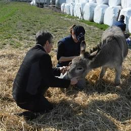 Deux hommes sont agenouillés à côté d'un âne dans un champ.