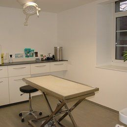 Krebs Vétérinaires SA - Soins dentaires avec râpe électrique