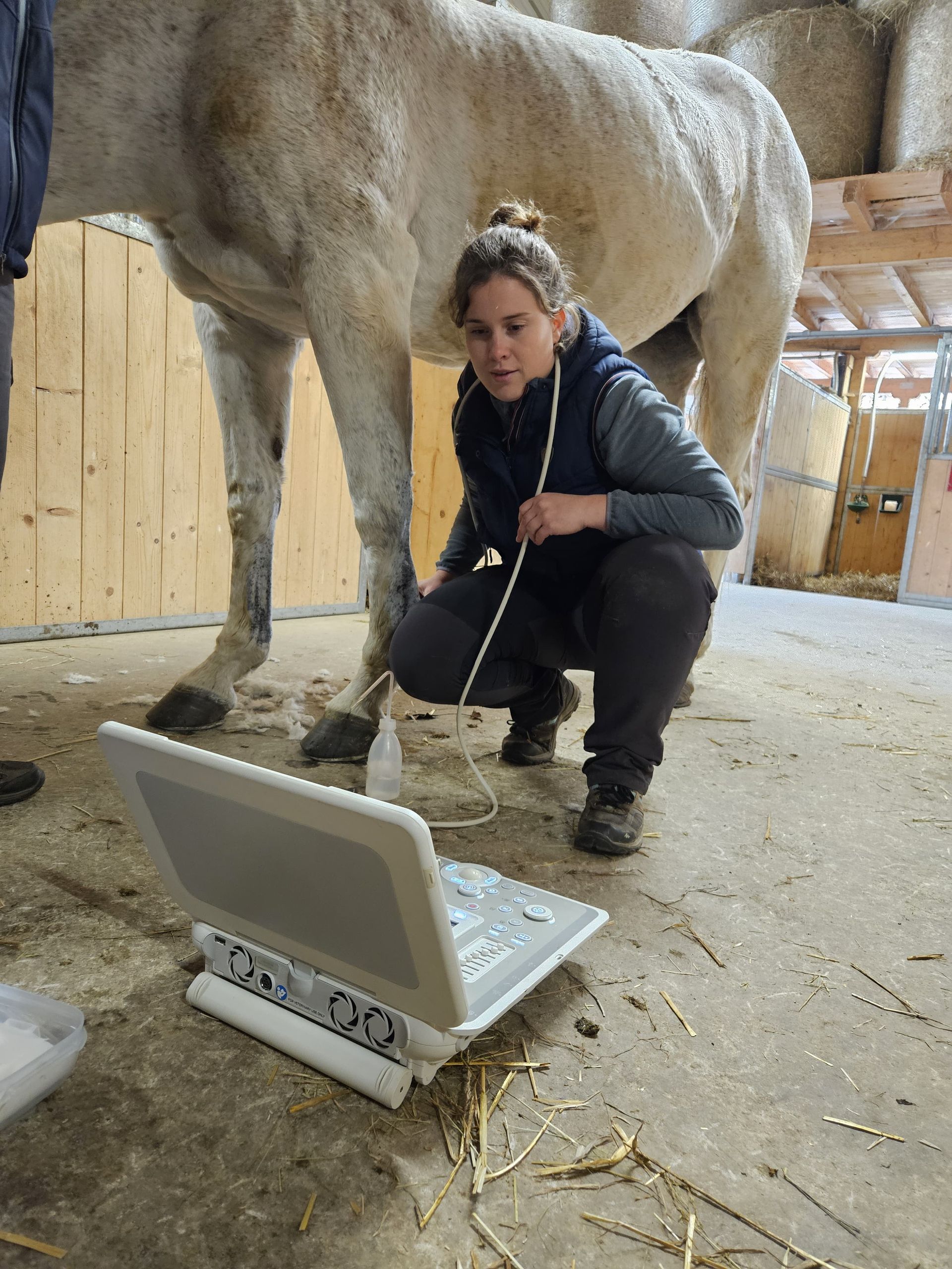 Alix de Vivie - Vétérinaire