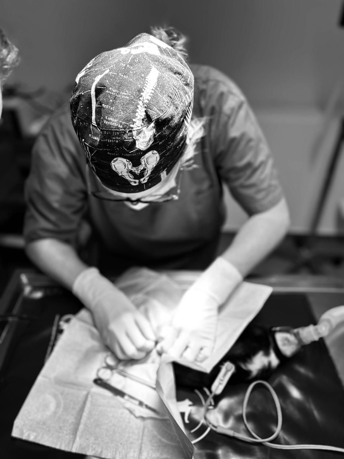 Mathilde Fenart - Vétérinaire