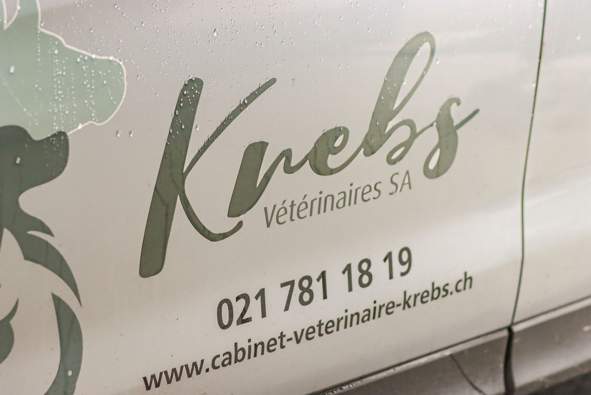 Logo du cabinet vétérinaire Krebs à Mollie-Margot