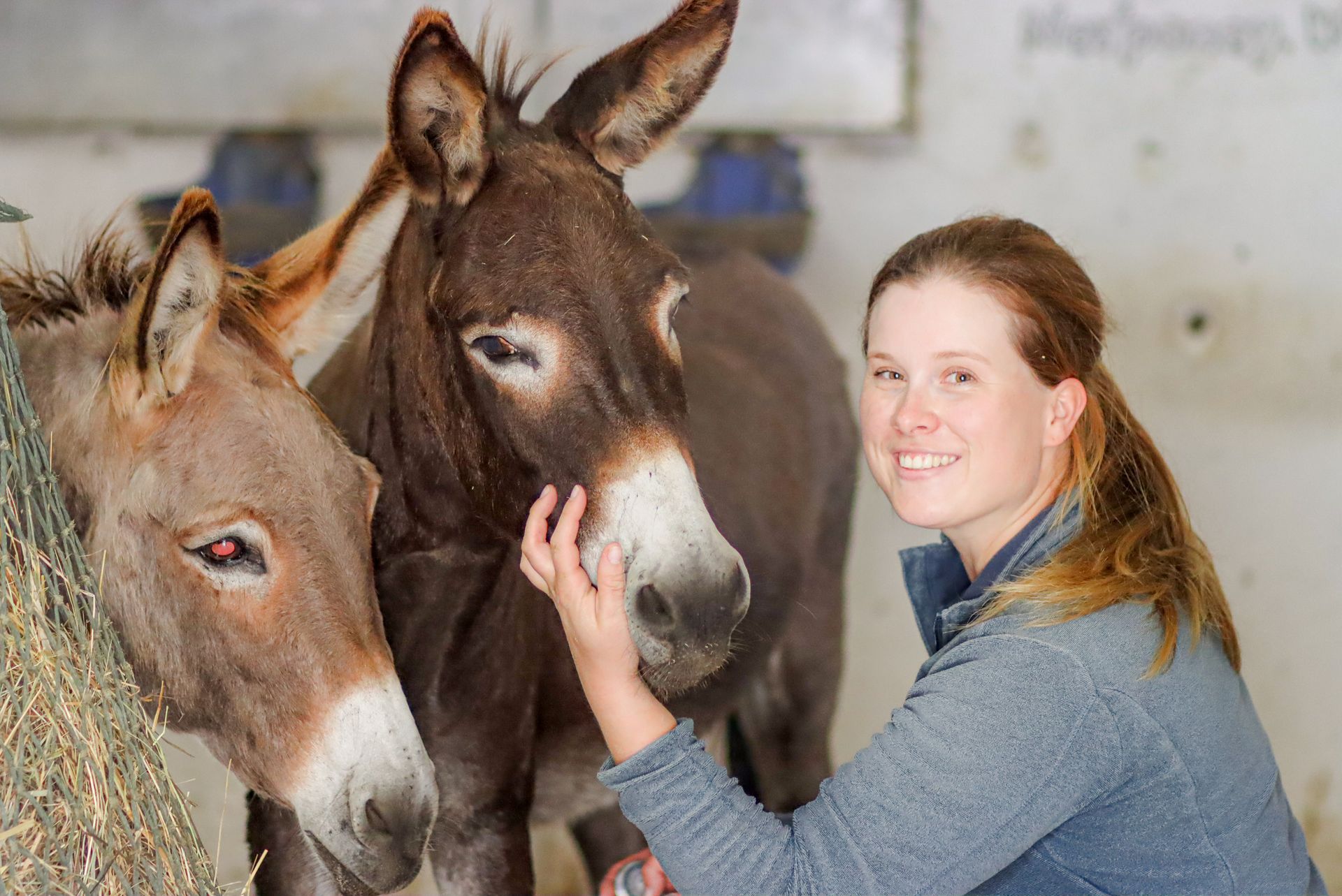 Une femme caresse deux ânes dans une grange.
