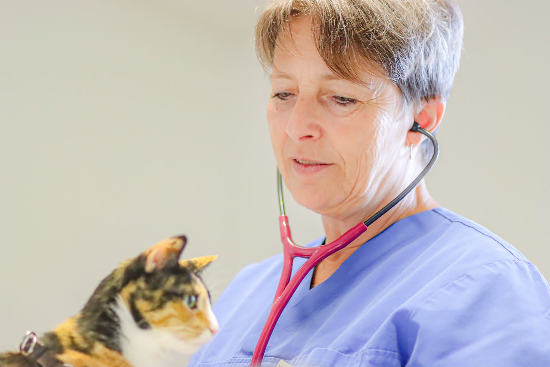 Nadia Cantoni, vétérinaire