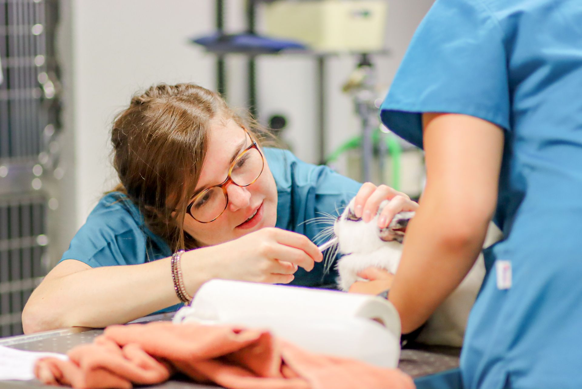 Nathalie Riédo, AMV 