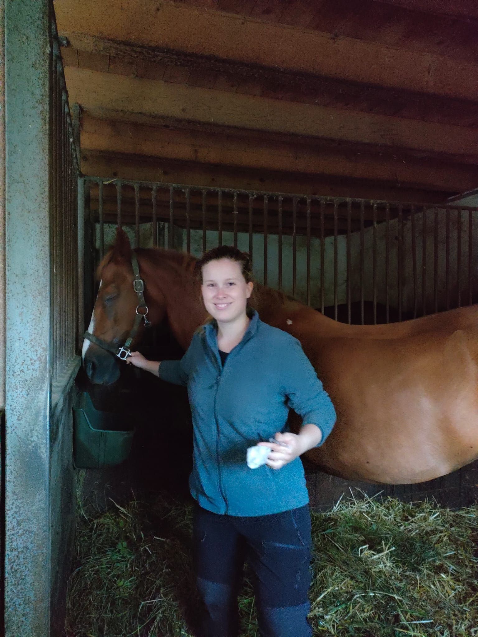 Une de nos vétérinaire qui s'occupe des soins sur un cheval