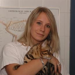 une employé du cabinet vétérinaire avec un chat