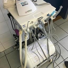 Nettoyage de dents pour vos animaux au cabinet vétérinaire Krebs