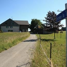 Un chemin de terre traversant un champ herbeux avec une maison en arrière-plan.
