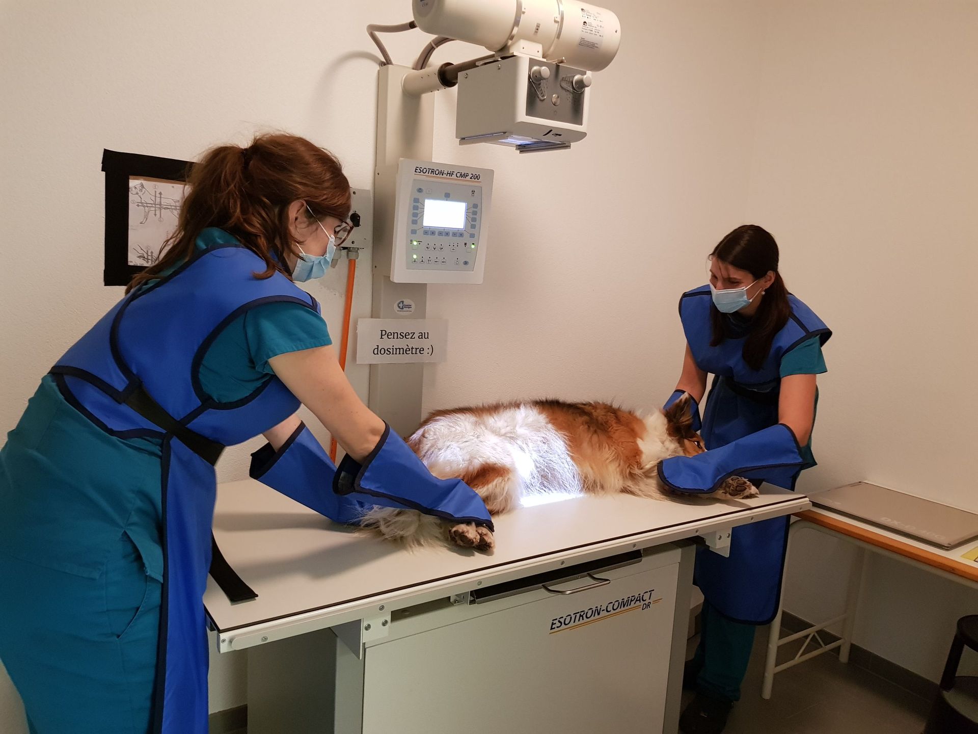 Prise d'une radio, cabinet vétérinaire krebs