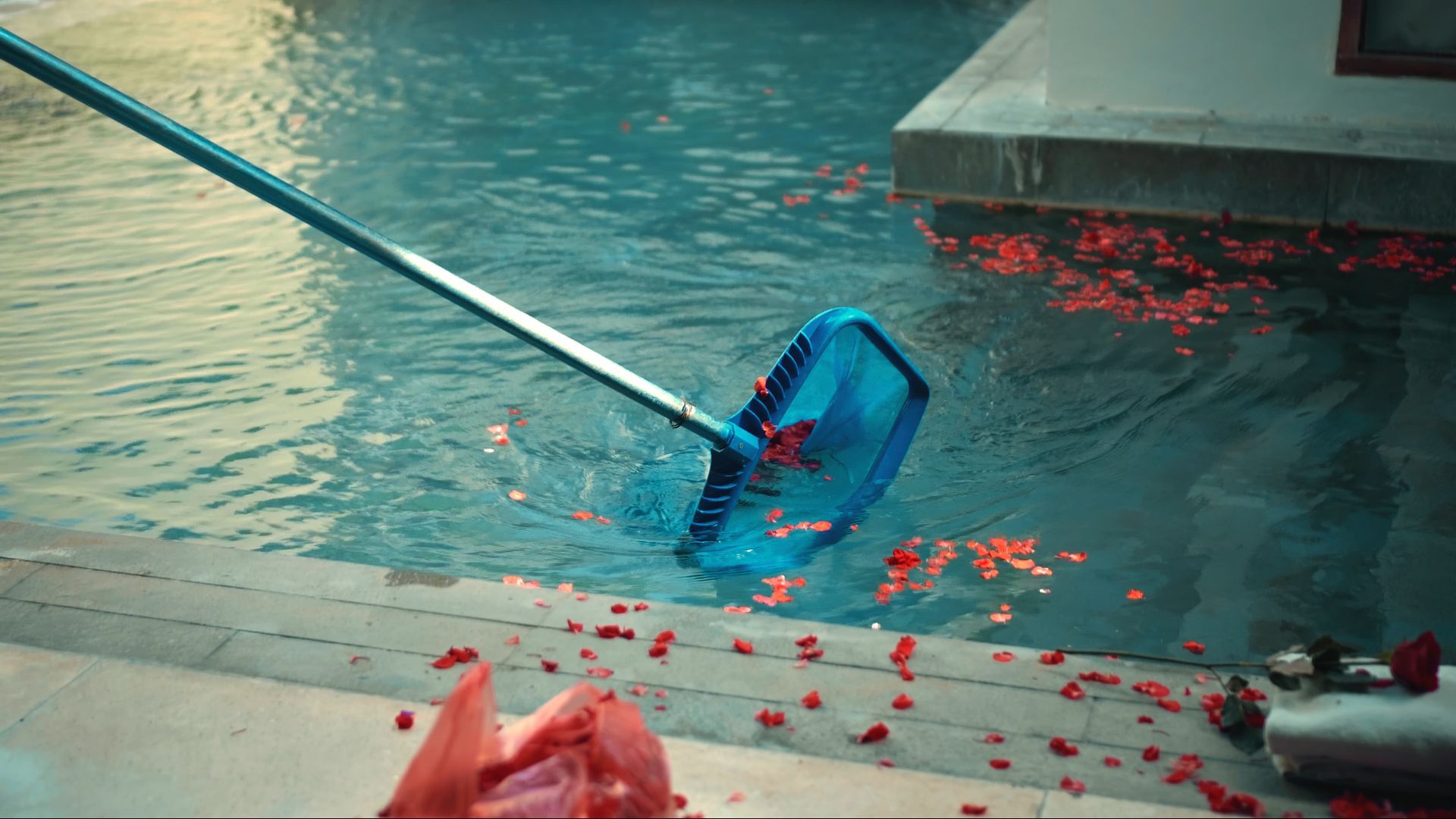 Une personne nettoyant une piscine avec une épuisette.
