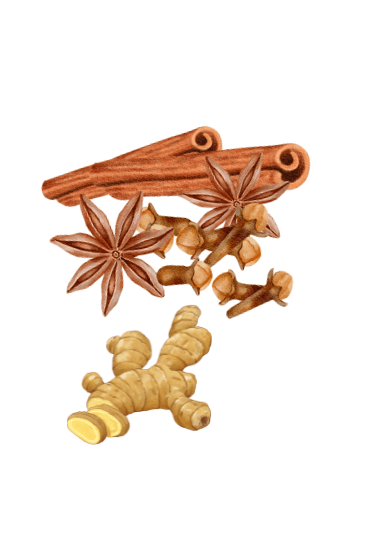 Zimtstangen, Sternanis, Nelken und Ingwerwurzel als Gewürze.