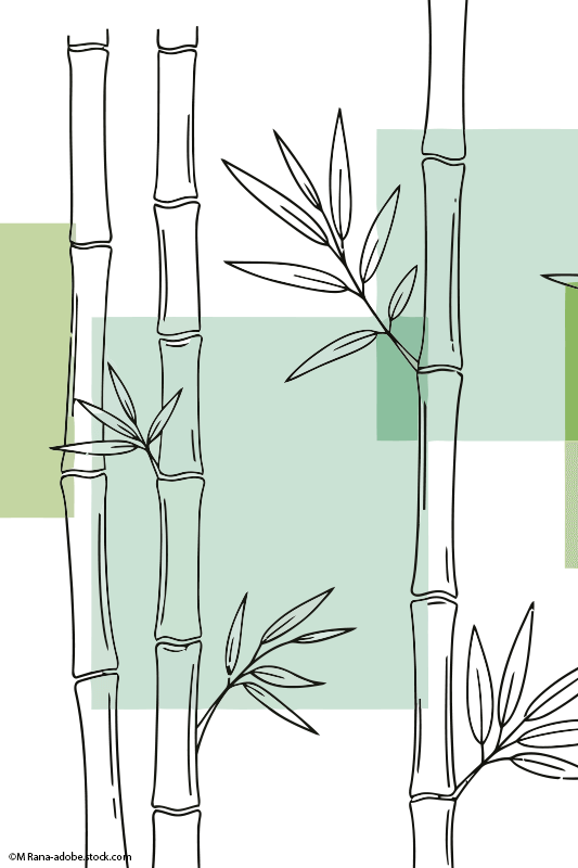 Bambusstängel mit Blättern, in Schwarz skizziert, überlagert auf grünen und weißen Quadraten.