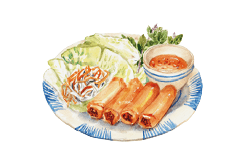 Teller mit frittierten vietnamesischen Frühlingsrollen mit Dip-Sauce, Salat und Kräutern.