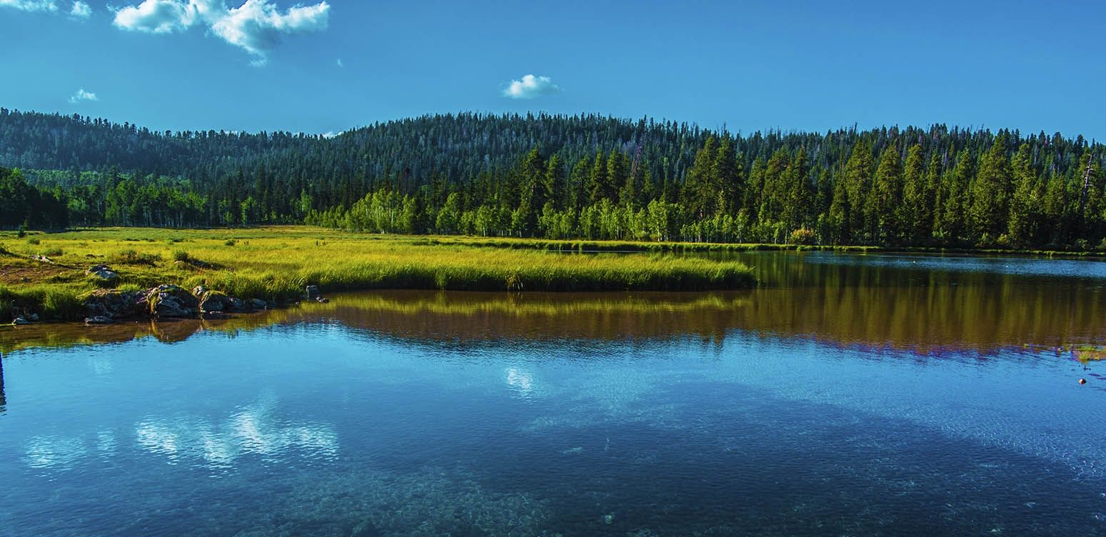 Tranquil lake reflects blue sky, clouds, and green forest. Sunny day, clear water, and grassy bank.