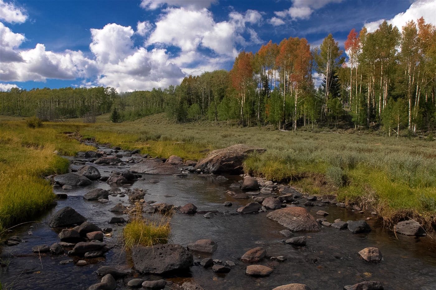 A rocky stream flows through a grassy meadow toward a forest under a blue sky with clouds.