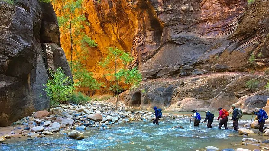 Group of hikers wading through a river in a narrow canyon with orange and brown rock walls.