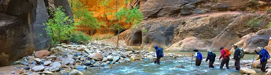 Hikers wade through a river in a canyon. Brown rocks and green/orange foliage surround them.