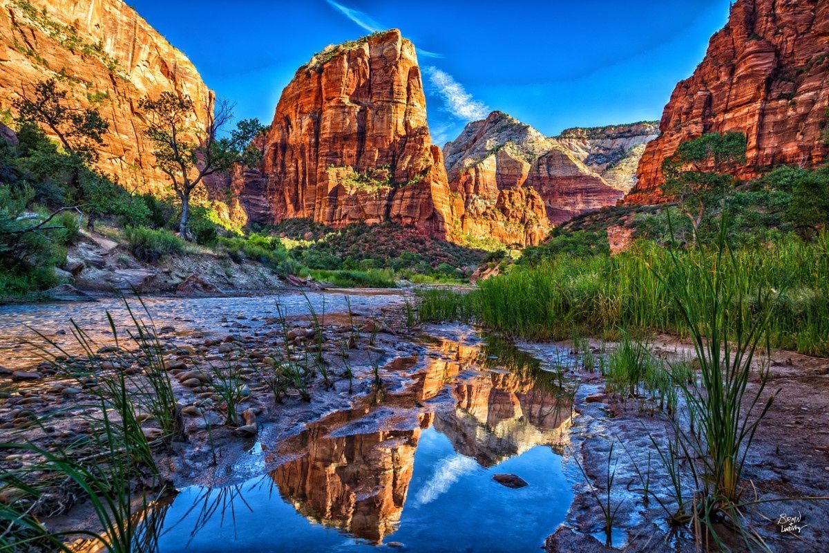 Red rock canyon reflected in calm water with green vegetation.