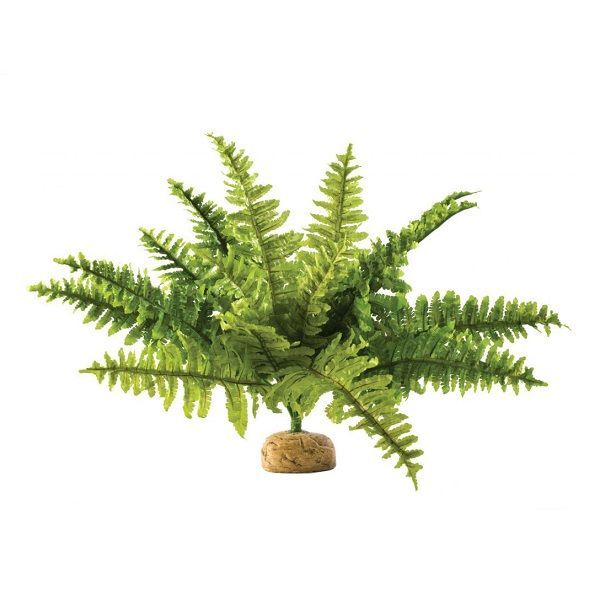 Exoterra Boston fern silkkikasvi saniainen terraarioon tekokasvi sisustus