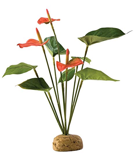 Exoterra Boston fern flamingo silkkikasvi saniainen terraarioon tekokasvi sisustus