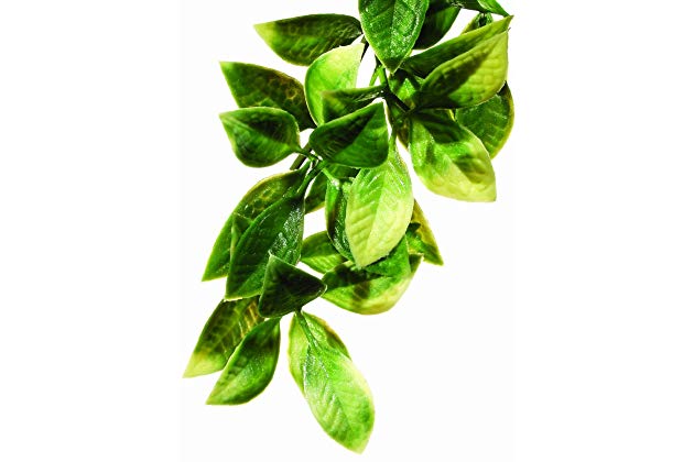 exo terra silkkikasvi hamppu mandarin mandariini cannabis terraarioon muovikasvi pori