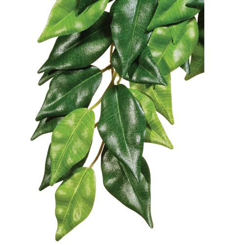 Exoterra ficus silkkikasvi terraarioon muovikavi roikkuva pori sistustus terraario