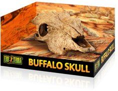 Exoterra Buffalo Skull pääkallo terraarioon sisustus terraarion pori härän buffalon exo terra