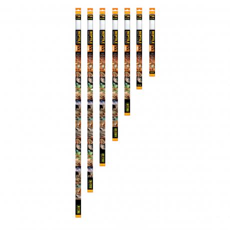 Exoterra Reptile UVB 150 loisteputki terraarioon parta-agama